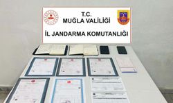 Muğla'da kaçakçılık operasyonlarına 4 tutuklama