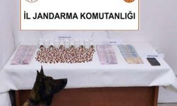 Muğla'da uyuşturucuya geçit yok: 1 haftada binlerce hap ele geçirildi!