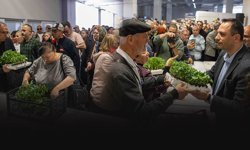 Bornova’da üreticiye büyük destek... 382 bin fide toprakla buluşacak