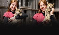 Buca’da 599 can dost yeni yuvaya kavuştu