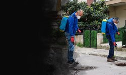 Buca'da yaza hazırlık: Ekipler sahada!