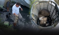 Belediye ekiplerinden zamanla yarış: 5 can kurtarıldı!