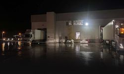 Balık fabrikasında gaz sızıntısı paniği... 15 işçi hastanelik oldu!