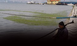 İzmir Körfezi'nde yeşil kabus!