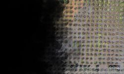 İzmir'de tarım arazilerini sağanak vurdu: Üretici zamanla yarışıyor