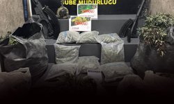 İzmir'de 'zehir' serasına baskın: 279 kök Hint keneviri ele geçirildi