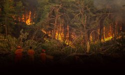 İzmir'deki yangınlarda personele soruşturma izni yok