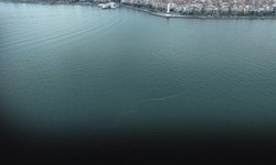 Büyükşehir'den acil müdahale çağrısı... İzmir Körfezi'ne yine kıydılar!