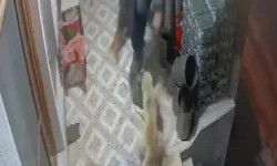 Köpek saldırısında parmağı koptu: Doktorlar yerine dikemedi!