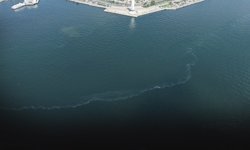 İzmir Körfezi’nde kirlilik durmuyor: Son beş ayda 9 vaka