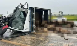 Koyun yüklü kamyonet ile otomobil çarpıştı: 2 kişi öldü