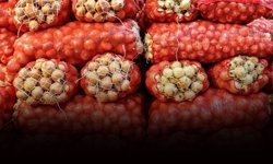 Kuru soğan ihracatında rekor artış: Hedef 100 milyon dolar!