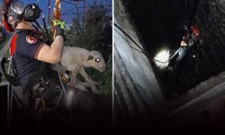 Kuyuya düşen kuzuya itfaiyeden nefes kesen kurtarma