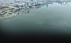 İzmir Körfezi’nde çevre katliamı durmuyor... 10’uncu kez aynı tablo