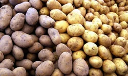 5 liradan alıp 6 kat fazlasına satıyorlar