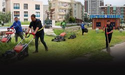 Buca’da yabani otlara karşı seferberlik