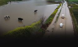 Sağanak İzmir'i vurdu... Tarım arazileri ve kara yolu su altında kaldı