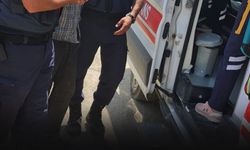 Kayıp olarak aranıyordu... Yaylada bulundu!