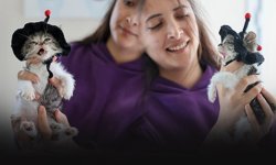 Buca’da boynu kırılan yavru kedi “Zero” hayata tutundu