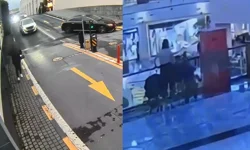 10 yaşındaki çocuğun 92 suç kaydı çıktı