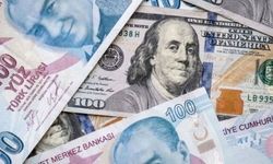 Mutlak butlan kararı sonrası dolar güne rekorla başladı