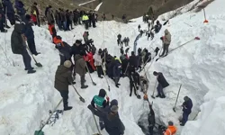 Kayıp çobanın cesedi 7 metre karın altında bulundu