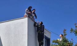 Binada çıkan yangında mahsur kalan 2 kişi kurtarıldı