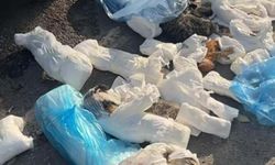 33 kedinin ölü bulunmasına ilişkin veteriner hekimin serbest bırakılmasına itiraz