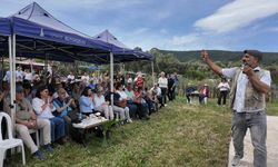 Foça'da üreticilerden imece usulü zeytin şenliği