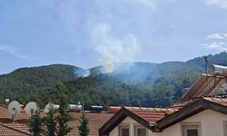 Muğla'da orman yangını