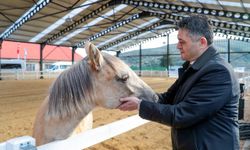 Aliapark'ta terapi, eğitim ve spor bir arada!