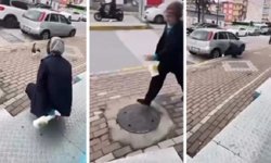 Kediyi yanına çağırıp yağ çözücü sprey sıktı