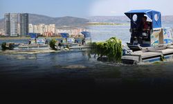 İzmir Körfezi’nde deniz marulu alarmı! 7 amfibik araç sahada