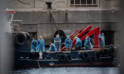 Korkulan oldu: Hantavirüs ile ilk temas
