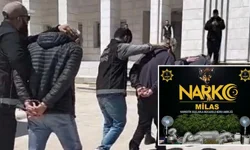 Muğla'da zehir evine baskın: 4 kişi tutuklandı!