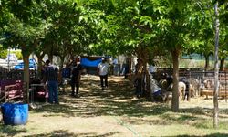 Seferihisar Belediyesi’nden Kurban Bayramı’nda dayanışma çağrısı