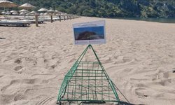 Akdeniz'in ilk caretta caretta yuvaları İztuzu Sahili'nde