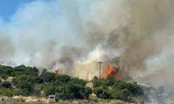 Çanakkale'de bozuk ormanda yangın
