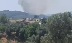 Muğla'da tarım arazisinde çıkan yangın ormana sıçradı