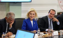 AK Partili Bursalı Aksoy'dan Çeşme Projesi açıklaması: Engel değil destek olmalılar!