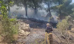 Kahramanmaraş’ta orman yangını