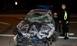 Bodrum'da iş yeri tabelası ve ağaca çarpan otomobildeki 2 kişi yaralandı