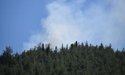 Manisa'da orman yangını: Havadan karadan müdahale!