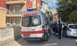 Dağdan topladıkları mantarı yiyen dede ve torun hastanelik oldu
