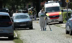 Almanya'da 6 kişinin öldüğü silahlı saldırının nedeni ortaya çıktı
