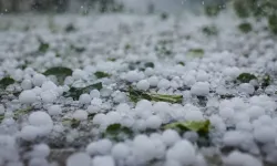 Dolu zararının tespiti için sahada inceleme