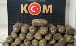 İzmir'de hafif ticari araçta 530 kilogram kaçak tütün ele geçirildi