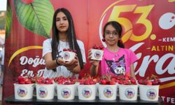 Kemalpaşa'da festival rüzgarı esiyor!