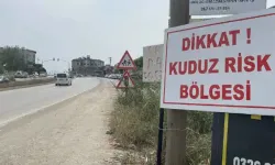 Kentte 'kuduz' alarmı: 7 mahalle karantinaya alındı!