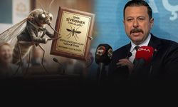 AK Partili Kaya'dan Büyükşehir'e: Sivrisinekler teşekkür plaketi verecek!